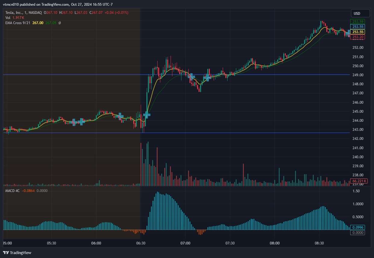 241024_Tsla_5m.png